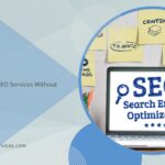 professional seo services